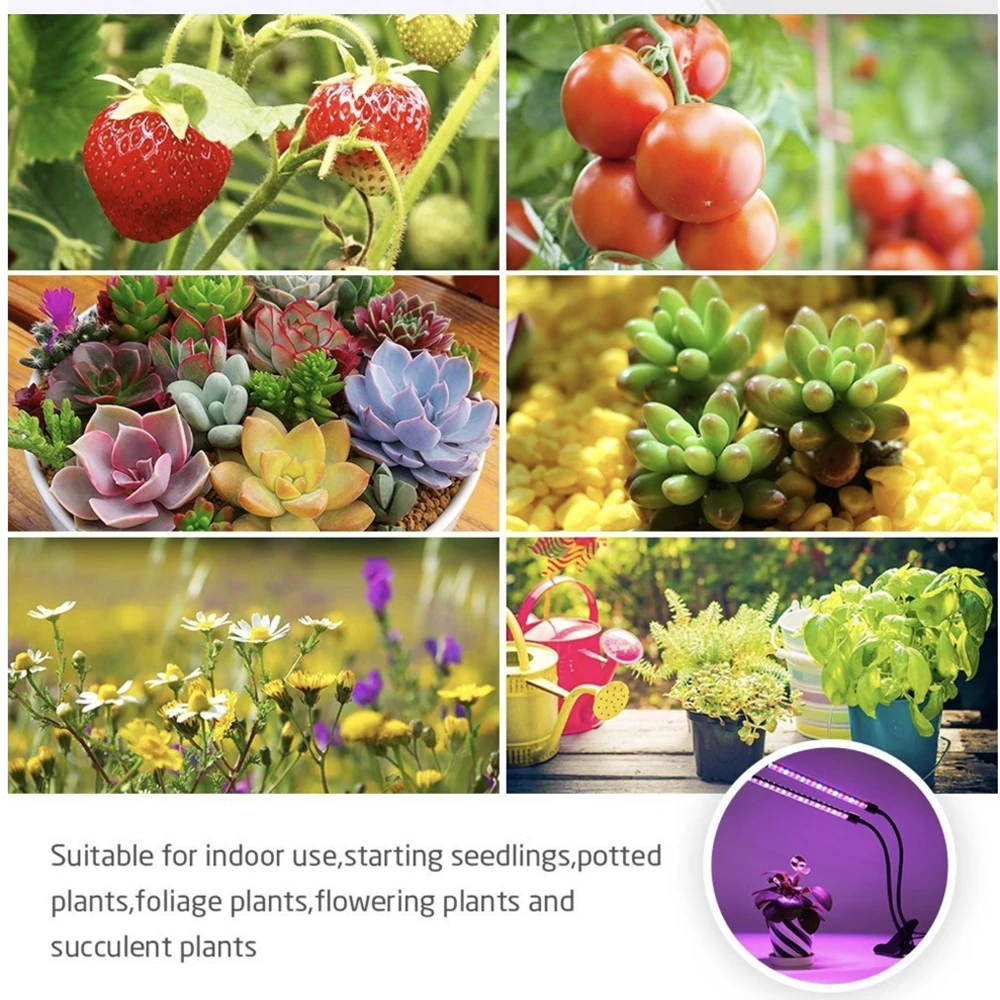 plants led growth lamp (5)