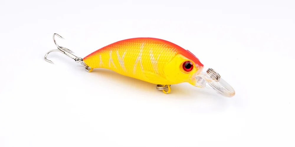 3972286004_1683047726