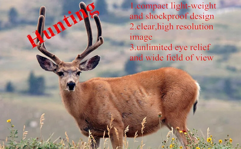 446