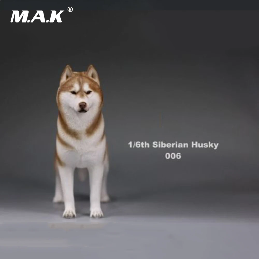 В наличии 1/6(12 &quot) модель собаки фигурку аксессуар 1:6 Сибирского Хаски