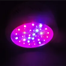 Парниковых 90 Вт НЛО растет свет яркий и мощный красный 630nm синий 460nm для комнатных растений