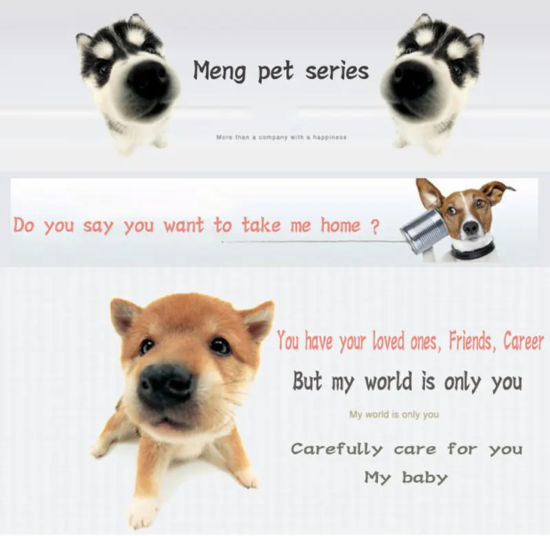 Cenxin Kawaii Peluche Chien En Peluche Jouets Pour Enfants Enfants Bebe D Anniversaire Cadeau De Noel Mignon Chien Simulation Chiot Poupees Aliexpress