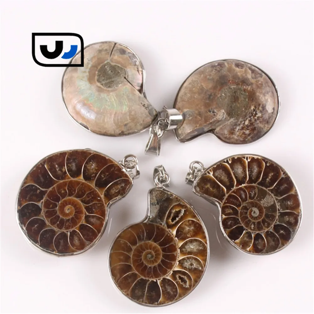 Seven Chakra 2Pcs Handmade Natural Conch Ammonite Pendant Necklace Half