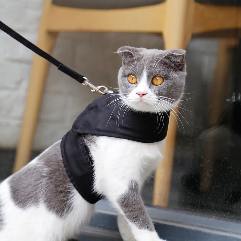 

Cat Harness with Leash Set, Escape Proof Cat Vest Harnesses, Adjustable Nylon Clasp, Durable D-Buckle Clothes Small Dogs Cats