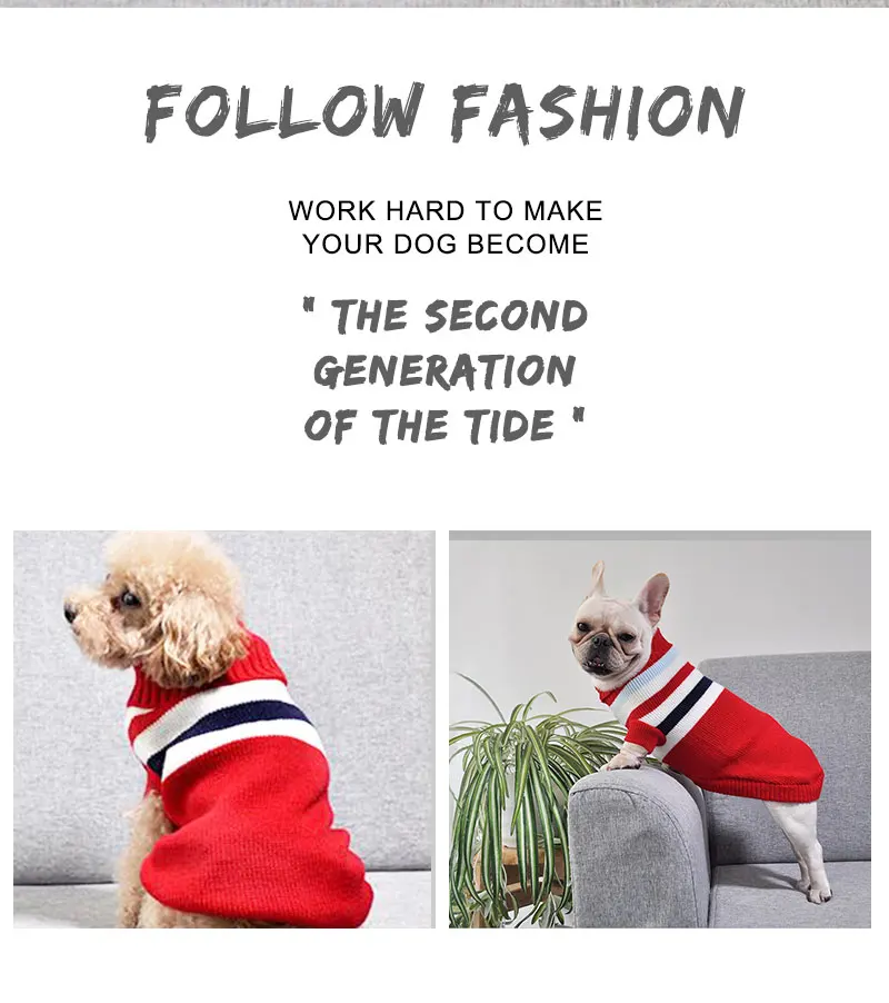 funny dog clothes