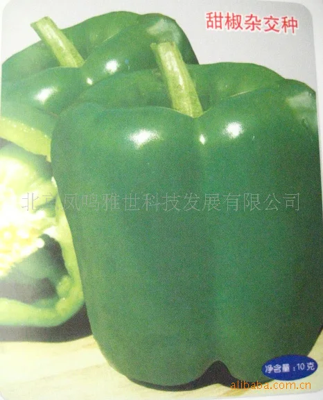

2018 Top Fashion New Arrival Summer Aquarius Excluded Very Easy Annual bonsai Manhattan 100 Of Sweet Pepper bonsai Vegetable ( )