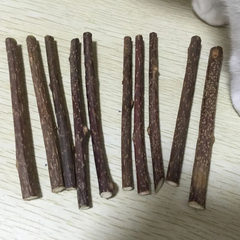 10pcs Cat Stick Matatabi Japan Catnip Japanese Twig Silvervine