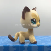 HTB1adJGQVXXXXXyaXXXq6xXFXXXL
