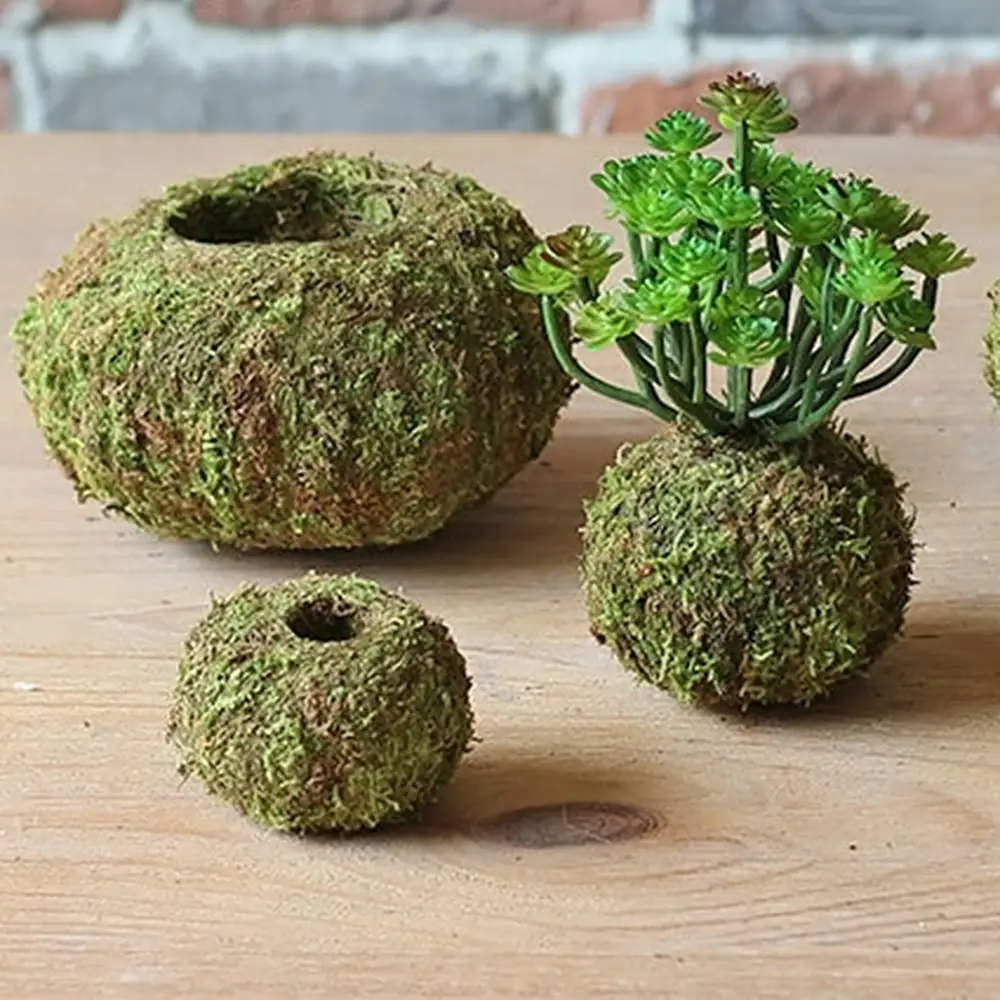 D DOLITY Natural Dry Moss Ball Bonsai Green Sphagnum Moss Planter Ball Flowerpot Green 6cm Green Bird Nest Birdhouse DIY Accessories
