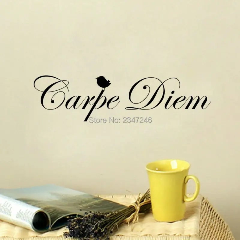 DIY Carpe Diem Vinyl Wall Sticker Latin Quotes Seize The Day Art Mural