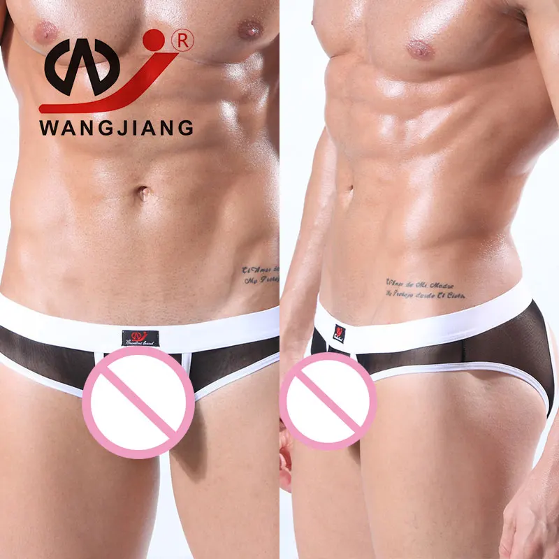 Transparent Mens Sexy Gay Underwear Breathable Nylon Briefs Slip Men Ropa Interior Hombre Silk Bikini 2004SH |