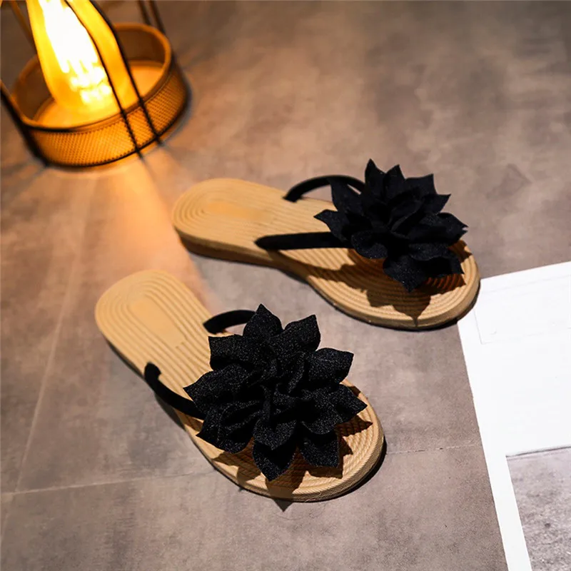 SCH81224831BK35_20181224031515949