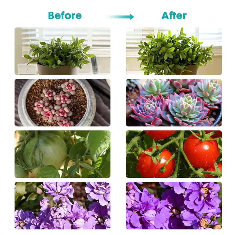 20W/30W Plant Grow Light with Auto Turn On Function 3/6/12H Timer 10 Levels Brightness Light TN99