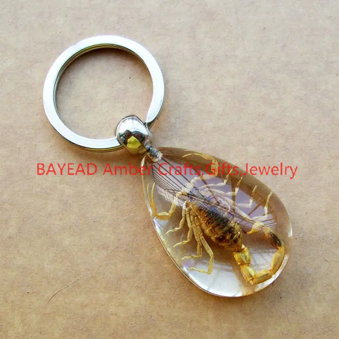 Real Gold Scorpion in Resin Keychains Drop Shape Insect Amber Keychain