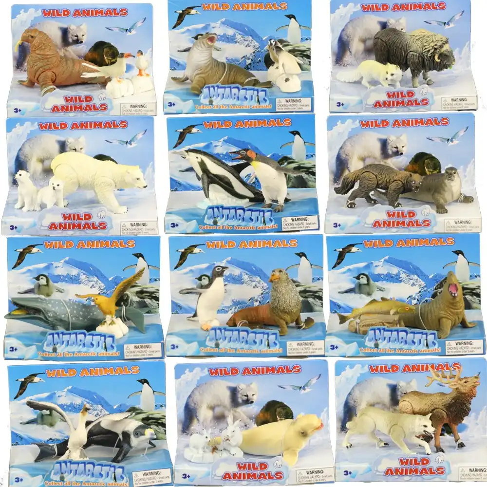 Arctic Marine Animals Killer whale Polar bear Emperor penguin Seals