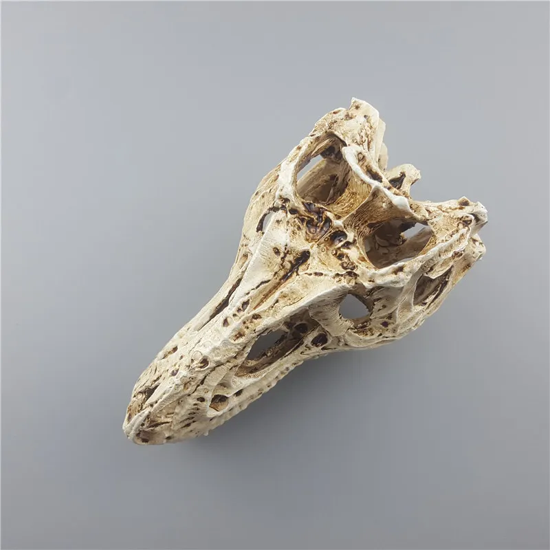 Estatuas artesanales de resina MRZOOT para decoración cráneo dinosaurio esqueleto modelo Animal Investigación Enseñanza para decoración creativa del hogar Estatuas artesanales de resina MRZOOT para decoración cráneo dinosaurio esqueleto modelo Animal Investigación Enseñanza para decoración creativa del hogar