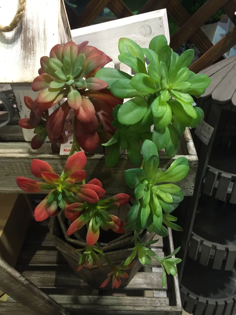 28 см длина искусственного суккулента Aeonium arboreum lotus свадебное украшение|artificial