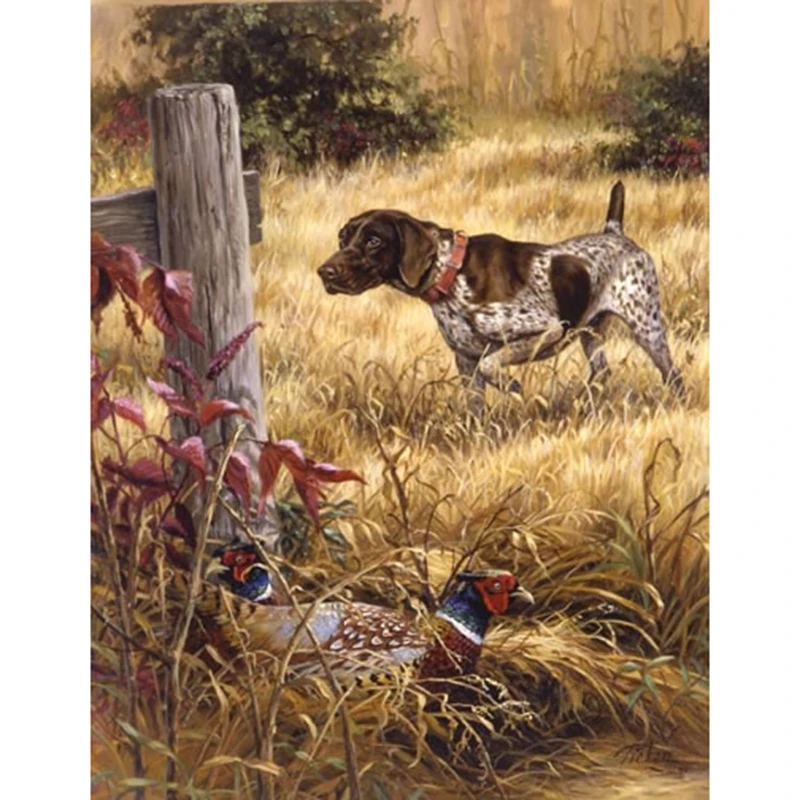 Chance%20Encounter_jpg