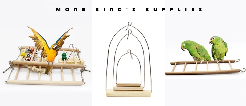 MORE BIRDS