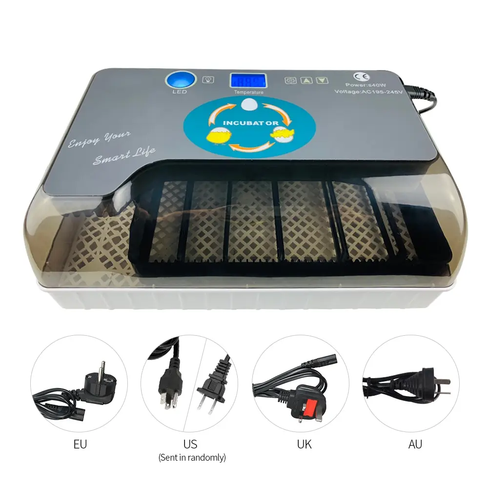 Digital Egg Incubator Automatic Egg Hatcher Automatic Turning 12 Eggs Chicken Birds Quail Brooder Egg Incubator Digital Egg Incubator Automatic Egg Hatcher Automatic Turning 12 Eggs Chicken Birds Quail Brooder Egg Incubator