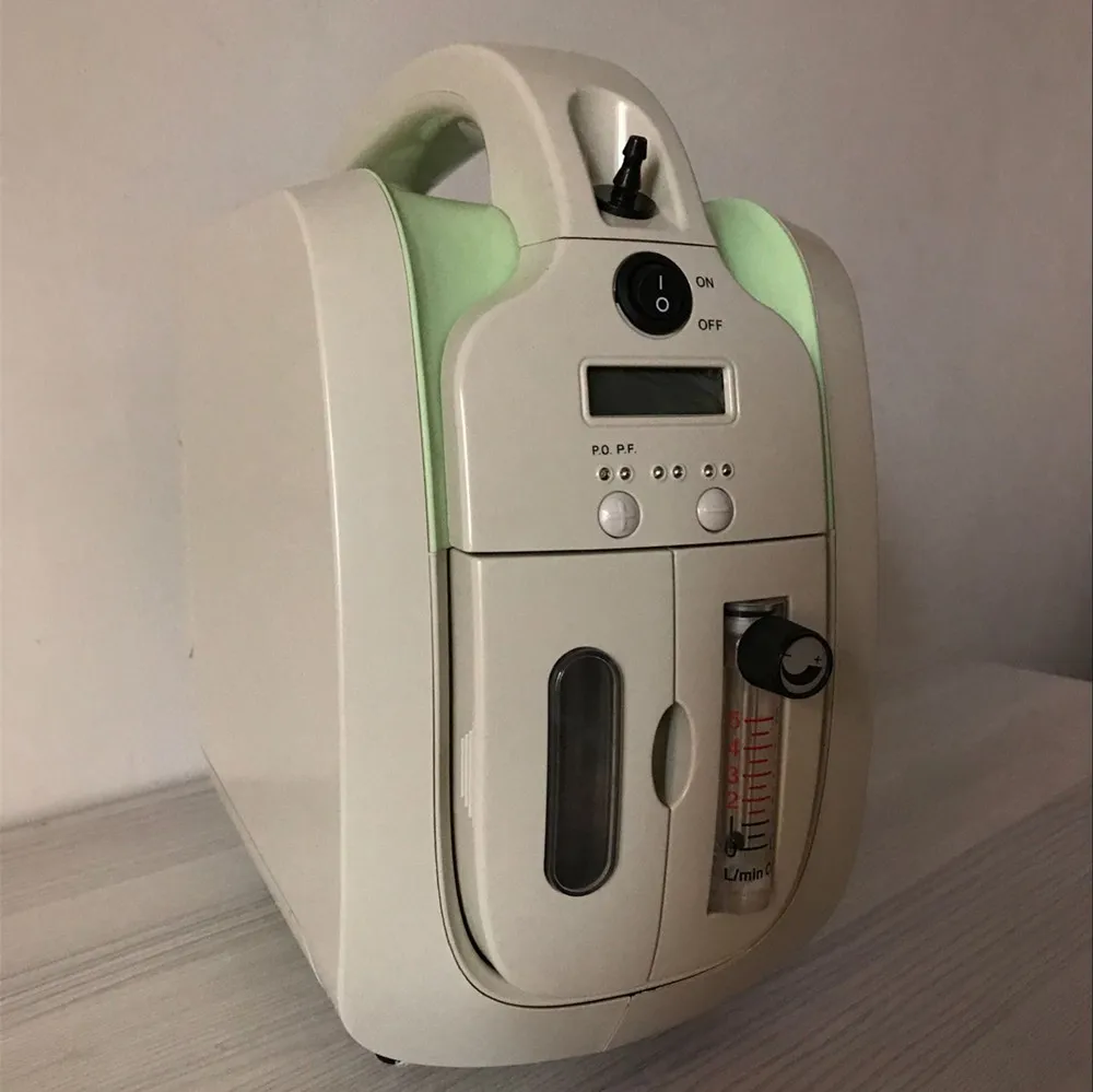  110V 220V Oxygen Concentrator Portable Oxygen Generator for Health Care Medical and Beauty Use Reju
