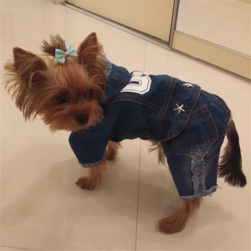 Bigeyedog весенняя одежда для собаки джинсовый комбинезон комбинезоны модная одежда для домашних животных пальто для собак одежда с капюшоном