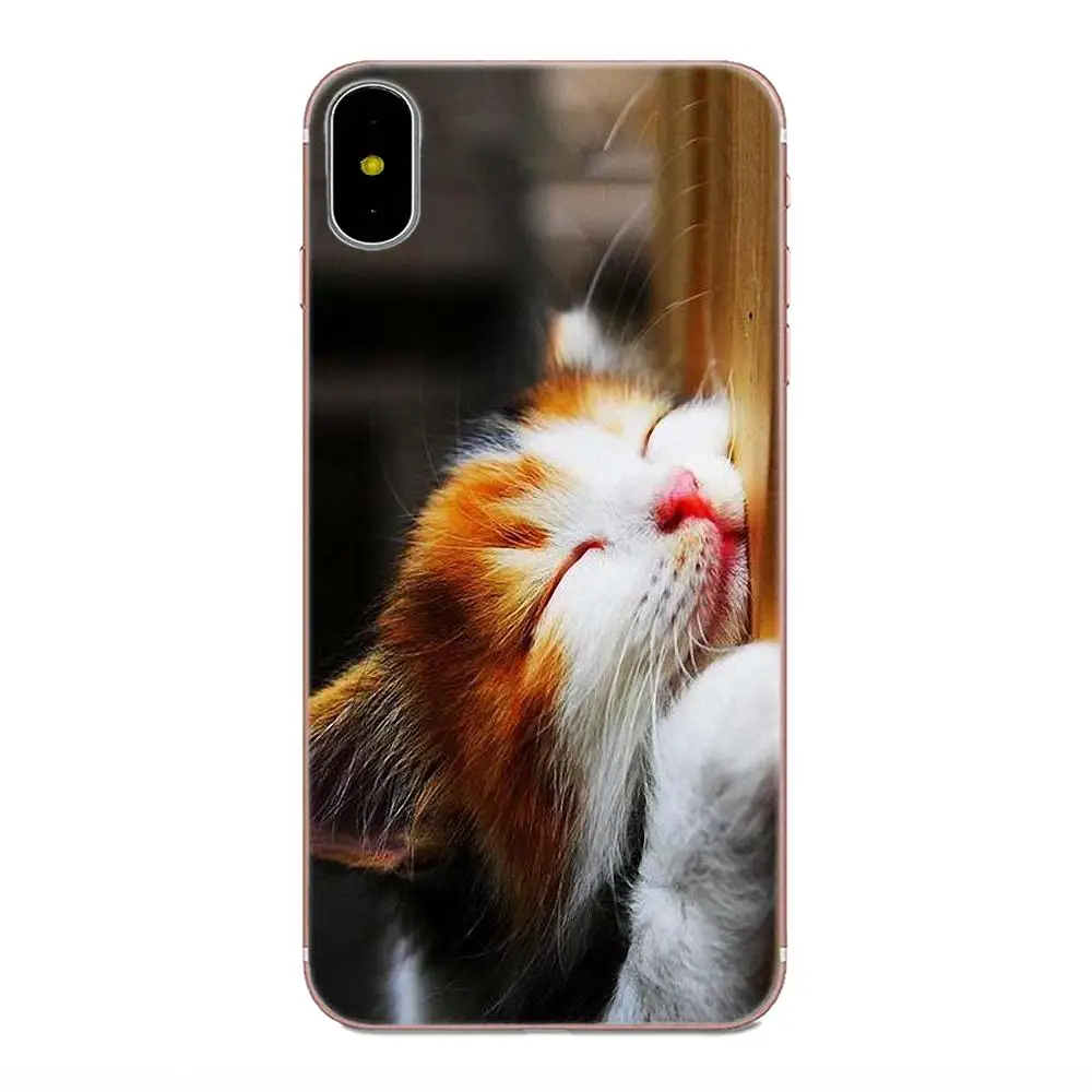 Мягкий силиконовый чехол Coute Sleeping Kitten Cat для Xiaomi Redmi Mi Note 7 8 9 SE Pro Lite Go