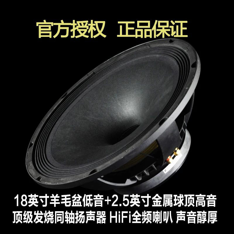 speaker full range 18 inch