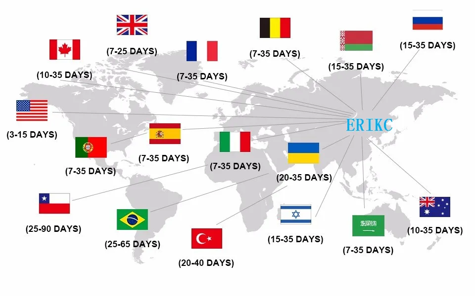 ERIKC натуральная 093152-0320 топливный инжектор Впускной фильтр 0931520320 высокое качество 5 шт./лот