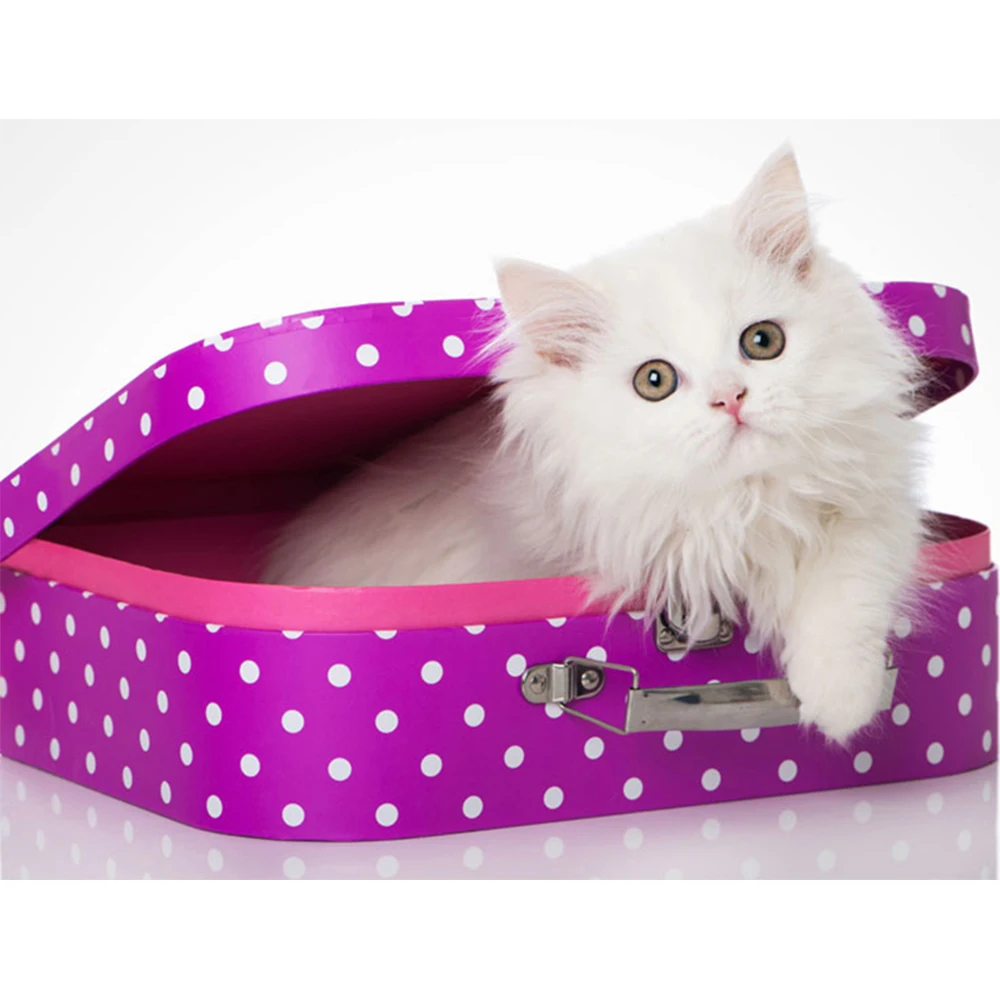 

LI LOYE DIY Diamond Painting Cross Stitch The cat in the box Pattern Rhinestone Full Diamond Embroidery picture Home Decor RT616