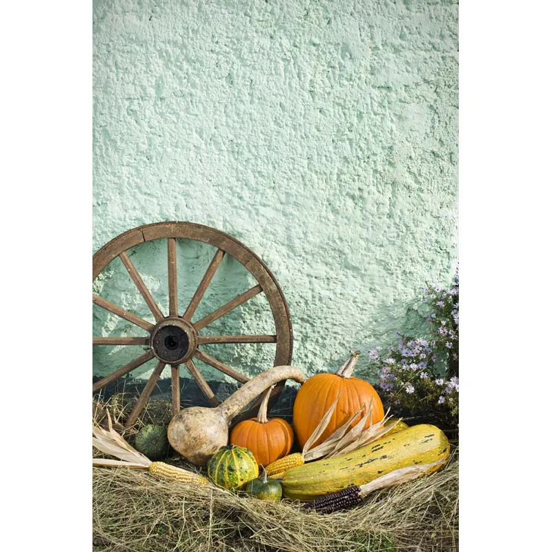 

Halloween Vinyl photography background Computer printing pumpkin Photography backdrops for Photo studio HA-207