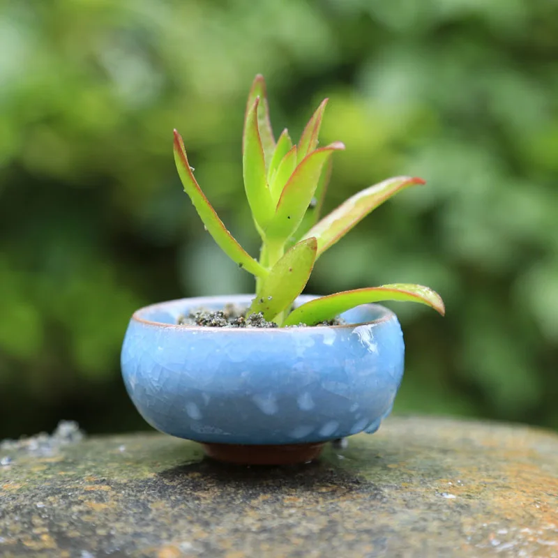 1492956786_1706585188