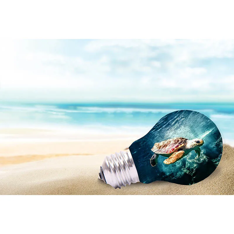 light-bulb-1474235_960_720