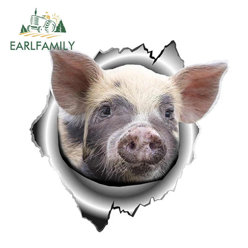 EARLFAMILY 13 см x 12 6 Смешные животные Свинья Виниловые стикеры рваные металлические