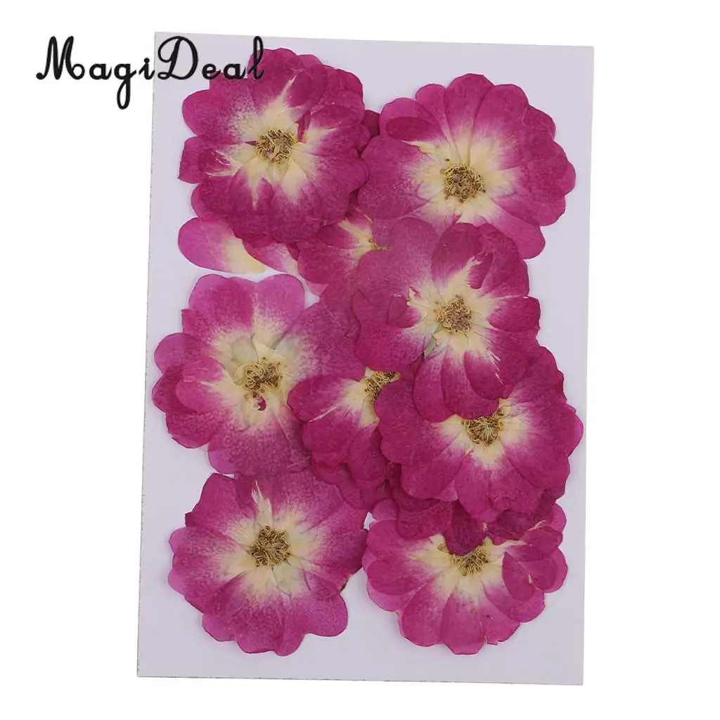 12 Pieces Chinese Rose Pressed Natural Dried Flower for DIY Resin Ornament Candle Making Decoration Purple 3-4cm