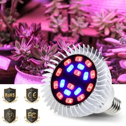 Grow Light E14 Full Spectrum Led 220V E27 Led Grow Tent Plant Light 18W Led Bulbs Seedling Phyto Lamp 110V Indoor Plants Flowers Grow Light E14 Full Spectrum Led 220V E27 Led Grow Tent Plant Light 18W Led Bulbs Seedling Phyto Lamp 110V Indoor Plants Flowers
