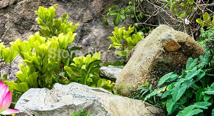 estar, estilo chinês, montanha paisagem de água,