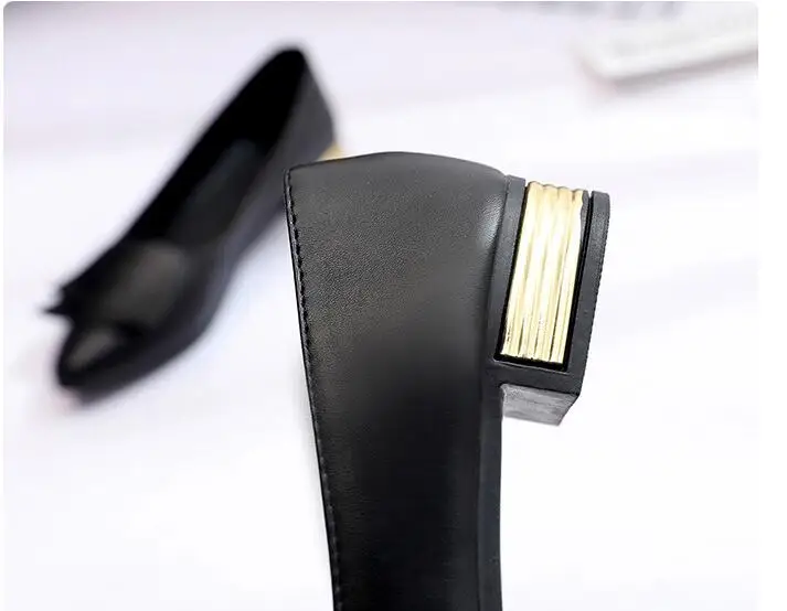 HTB1mKuMeXuWBuNjSszbq6AS7FXau