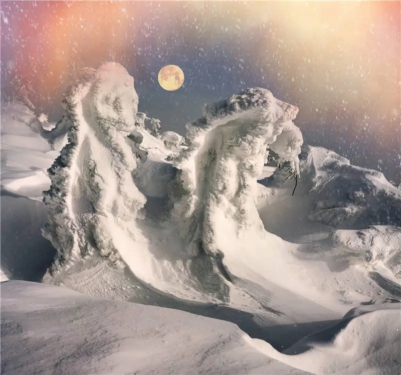 

KIDNIU 6x6ft Photography Backdrops Photo Props Winter Snow Vinyl Digital Background for Baby Studio win1418