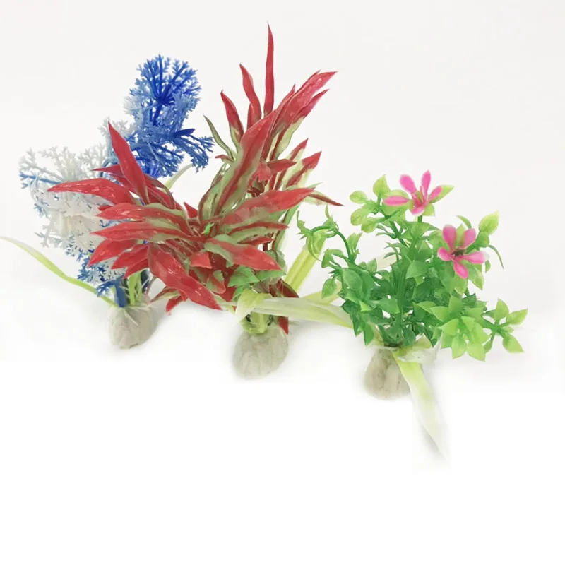aquarium plants 02