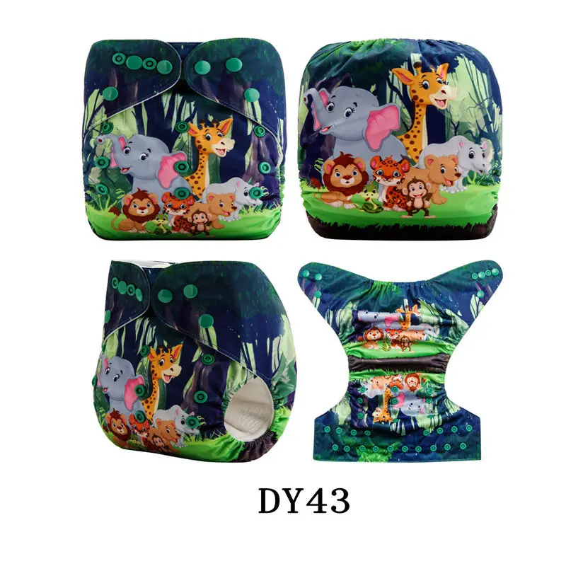 DY43