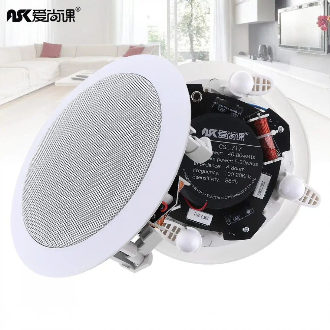 

20W Fashion Coaxial Fixed Resistance Radio High Fidelity Ceiling Speaker Public Broadcast Background Music