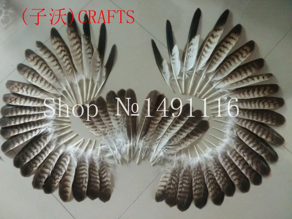 

Sell a set of wings of the eagle, left wings / right wings / tail feathers complete, 18-35cm DIY decoration