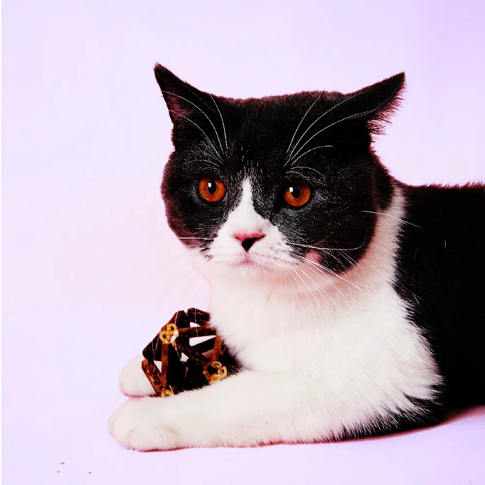

Wholesale Catnip Ball Exquisite Ball Funny Cat Stick Catnip Toy Ball Wooden Croquet Cat Toy