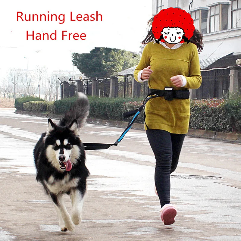 

Hands Free Pet Dog Leash Running Jogging 1.9-2.5M Long Elastic Adjustable Dog lead Rope With Waist Bag Dog Cat Sport Waist Belt