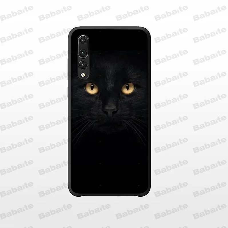 Black Cat Staring Eye