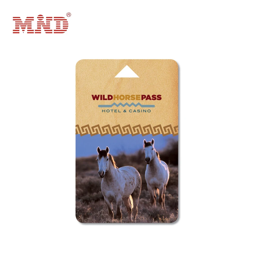 hotel key card (17)