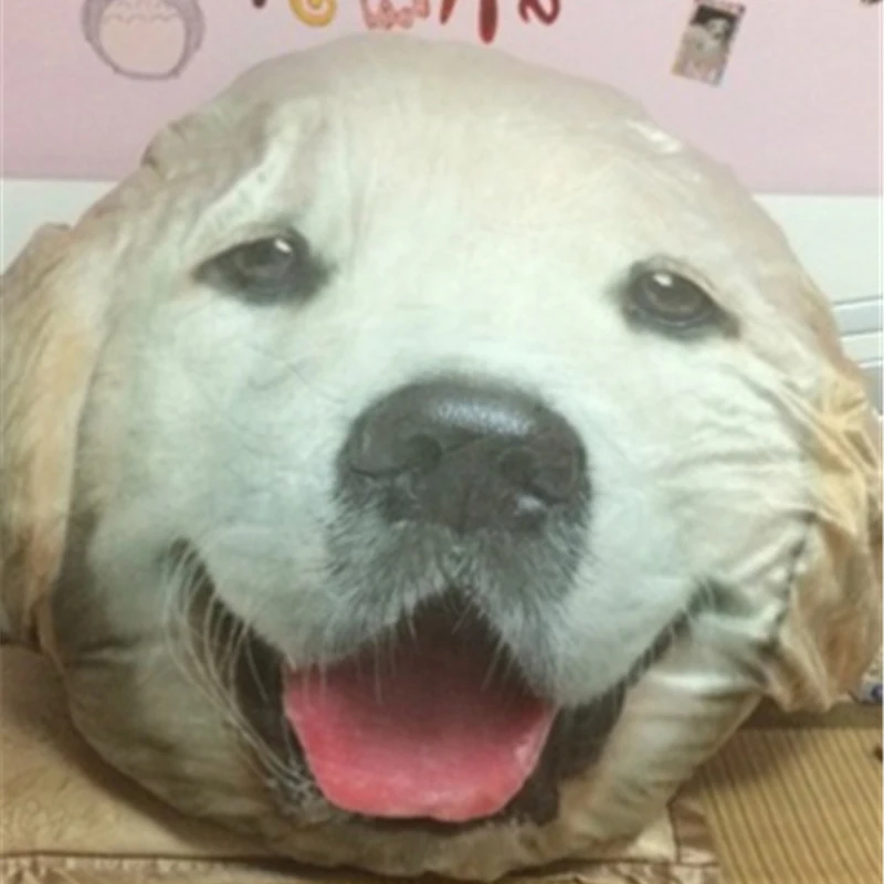 dog plush cushion carpet mattress 4