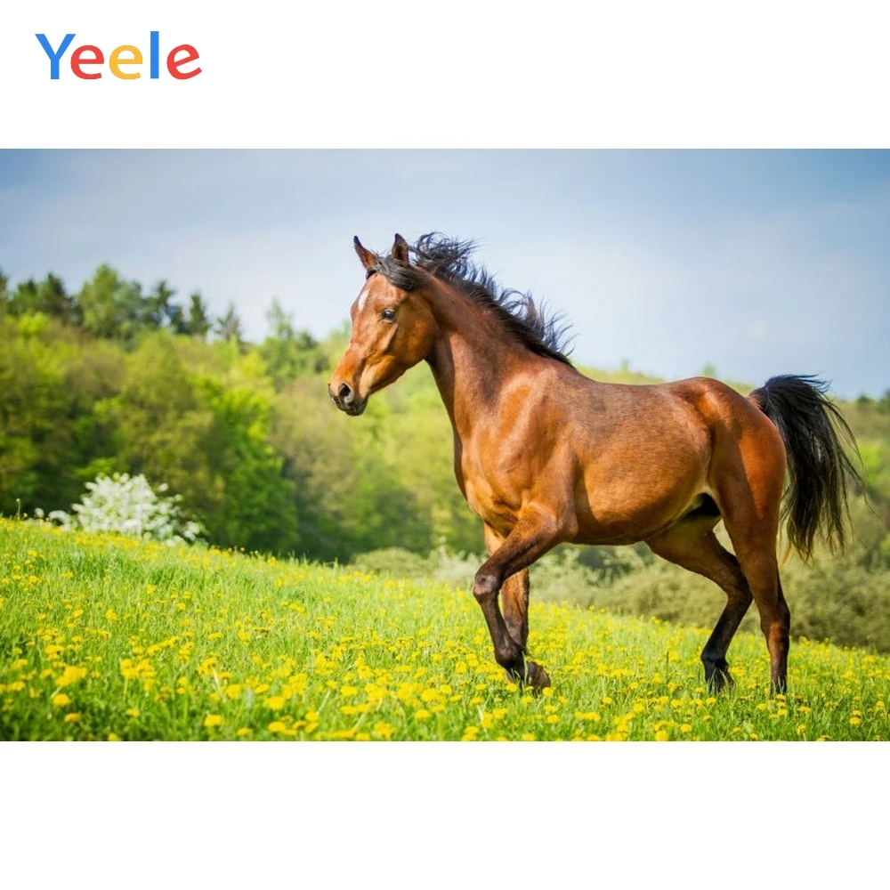 Фон для детских фотографий из винила Yeele с изображением лошади пастбища природы