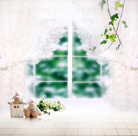 2x3m Vinyl Photography Backdrop Bay Window And Toys Free Shipping Background Wedding Personalized 6.5x10ft S-389 | Электроника